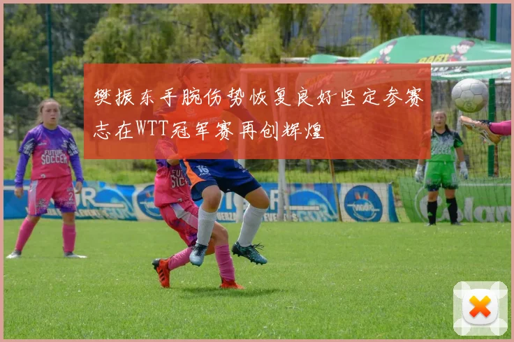 樊振东手腕伤势恢复良好坚定参赛志在WTT冠军赛再创辉煌
